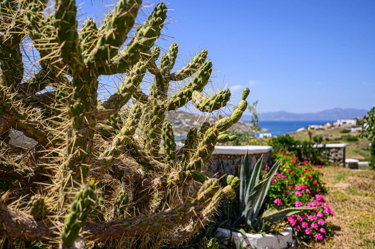 9 Muses Mykonos Pousada